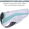 image:imageRuffwear Swamp Cooler Dog Vest Biolumin Blue MediumSage Green