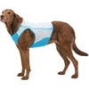 image:imageRuffwear Swamp Cooler Zip Dog Vest Evaporative Cooling for Hot Weather Graphite Gray MediumGraphite Gray