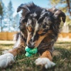 image:imageRuffwear Toadstool Toy Interactive TreatDispensing Dog Toy Moss GreenMoss Green