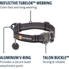 image:imageRuffwear Top Rope Dog Collar Metal Buckle River Rock Green 1420Basalt Gray