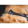 image:imageRuffwear Top Rope Dog Collar Metal Buckle River Rock Green 1420Basalt Gray