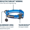 image:imageRuffwear Top Rope Dog Collar Metal Buckle River Rock Green 1420Blue Pool