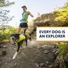 image:imageRuffwear Trail Runner Running Vest Performance Dog Running Harness with Hydration Flasks Reflective Trim amp Light Loop Lightweight BounceFree Running Dog Pack Lichen Green MediumLichen Green
