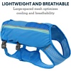image:imageRuffwear Trail Runner Running Vest Performance Dog Running Harness with Hydration Flasks Reflective Trim amp Light Loop Lightweight BounceFree Running Dog Pack Lichen Green MediumBlue Pool