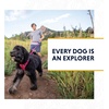 image:imageRuffwear Web Reaction Martingale Dog Collar Basalt Gray 1417Basalt Gray
