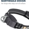 image:imageRuffwear Web Reaction Martingale Dog Collar Basalt Gray 1417Blue Pool