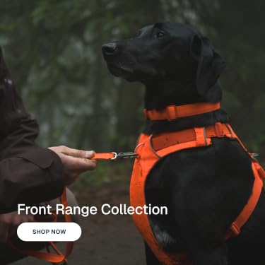 Ruffwear – High‑Performance Outdoor Dog Adventure Gear, Gear Up Your Dog for Hiking, Camping & Adventure