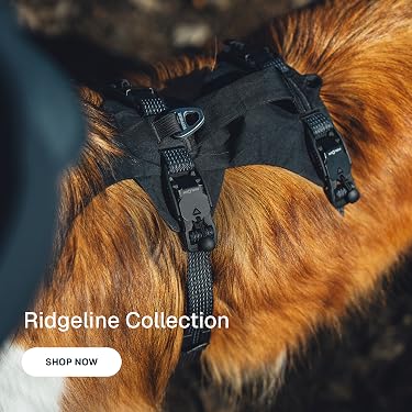 Ruffwear – High‑Performance Outdoor Dog Adventure Gear, Gear Up Your Dog for Hiking, Camping & Adventure