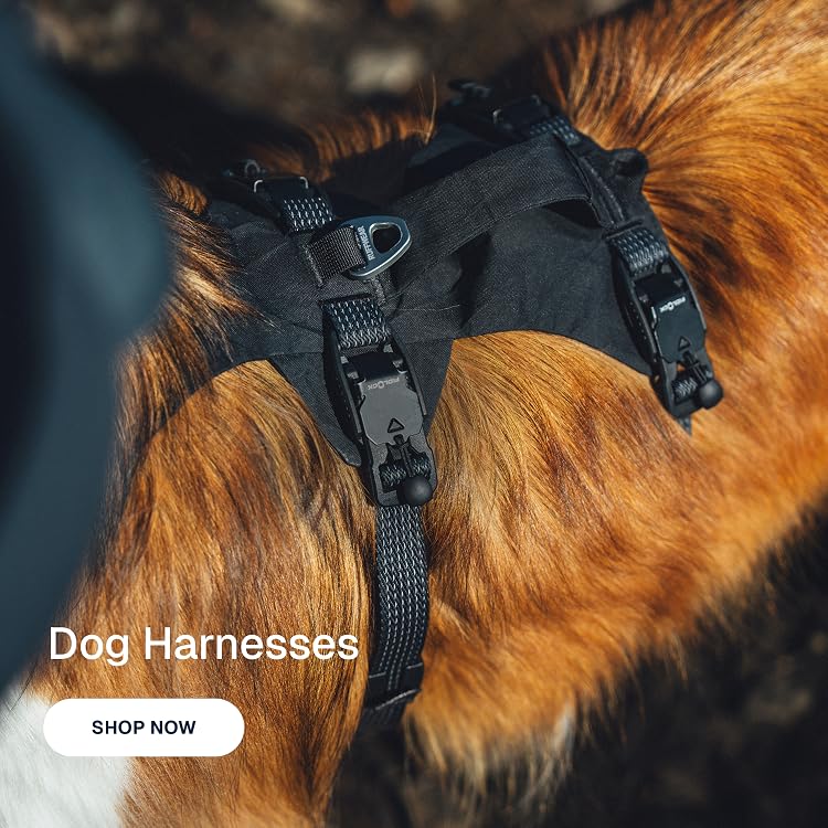 Ruffwear – High‑Performance Outdoor Dog Adventure Gear, Gear Up Your Dog for Hiking, Camping & Adventure
