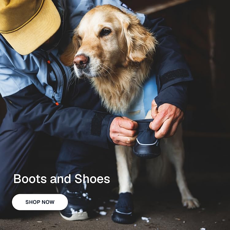 Ruffwear – High‑Performance Outdoor Dog Adventure Gear, Gear Up Your Dog for Hiking, Camping & Adventure