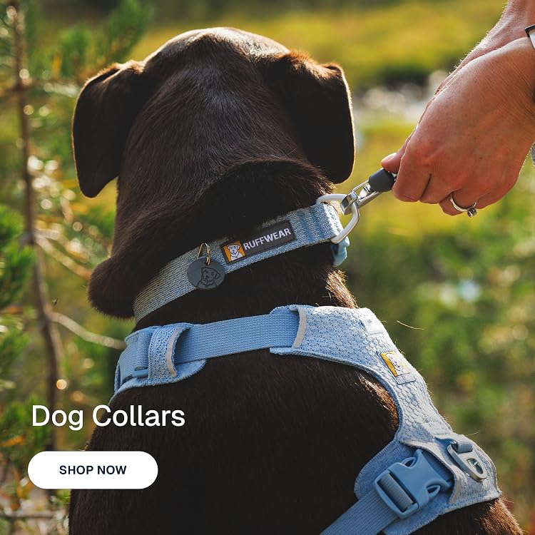 Ruffwear – High‑Performance Outdoor Dog Adventure Gear, Gear Up Your Dog for Hiking, Camping & Adventure